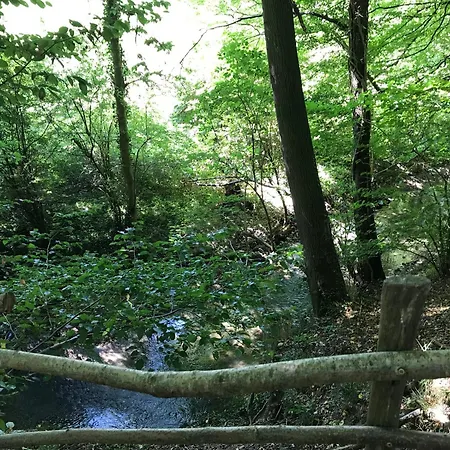 Vakantiewoning Mechelder Bij Het Plateau Appartamento